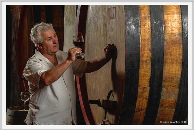 tenuta_di_arceno1903