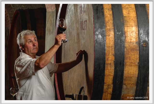 tenuta_di_arceno1905