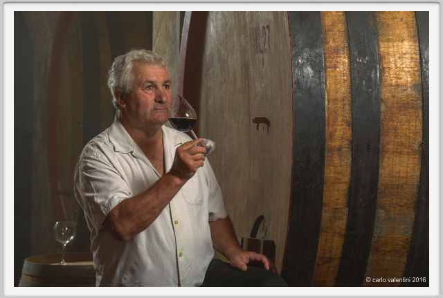 tenuta_di_arceno1908