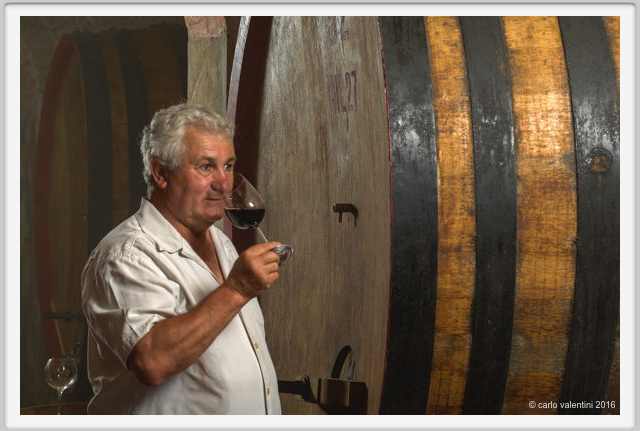 tenuta_di_arceno1910