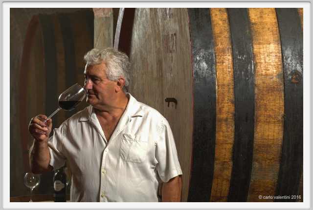 tenuta_di_arceno1911