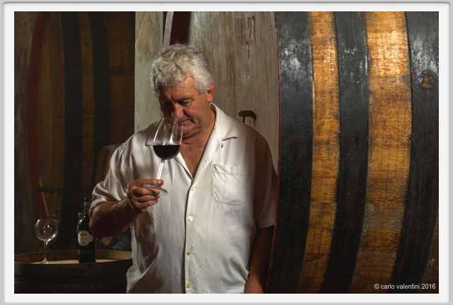 tenuta_di_arceno1913