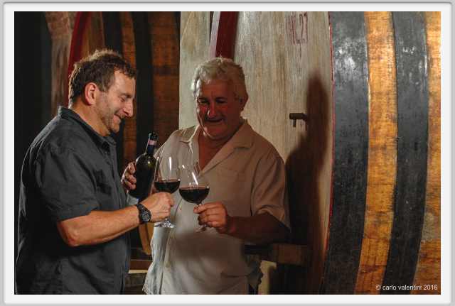 tenuta_di_arceno1917