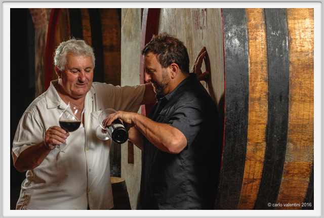 tenuta_di_arceno1919