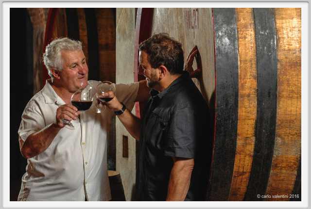 tenuta_di_arceno1920