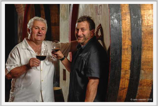 tenuta_di_arceno1922