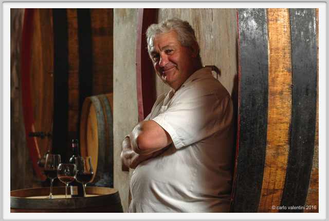 tenuta_di_arceno1923