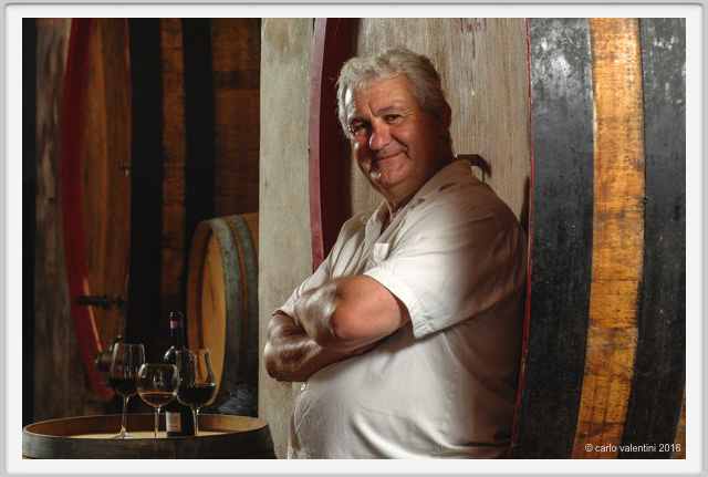 tenuta_di_arceno1924