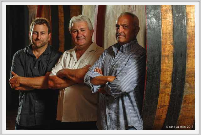 tenuta_di_arceno1925