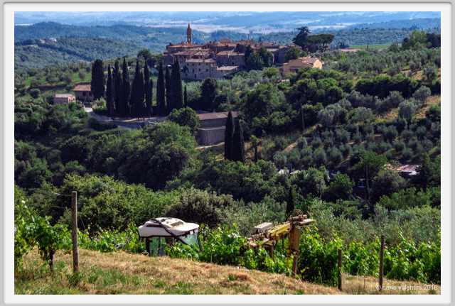 tenuta_di_arceno1817