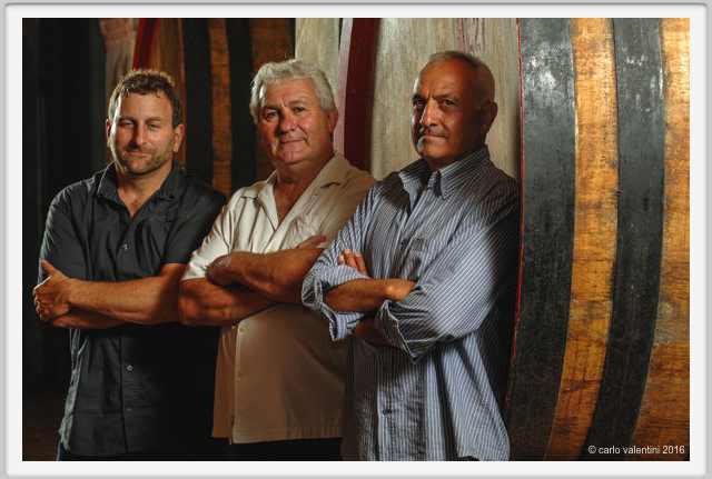 tenuta_di_arceno1926