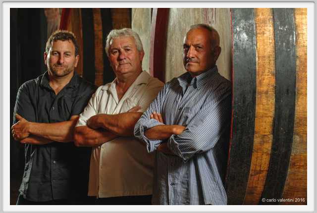 tenuta_di_arceno1927