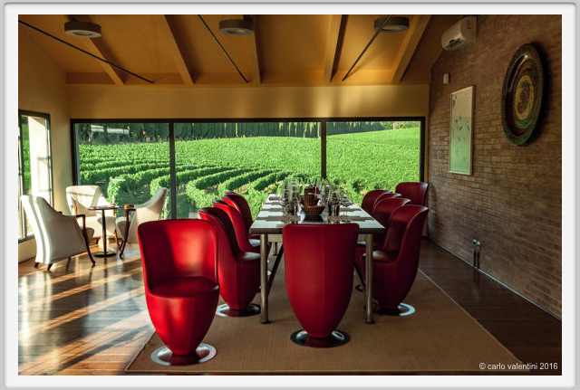 tenuta_di_arceno1931