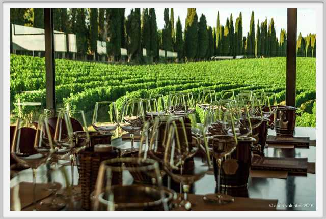 tenuta_di_arceno1935