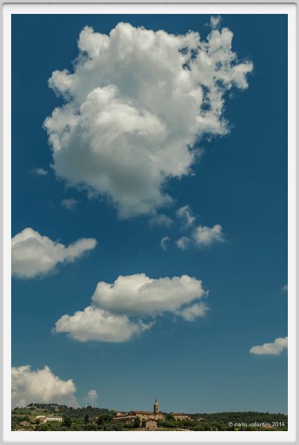 tenuta_di_arceno1757