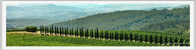 tenuta_di_arceno1783