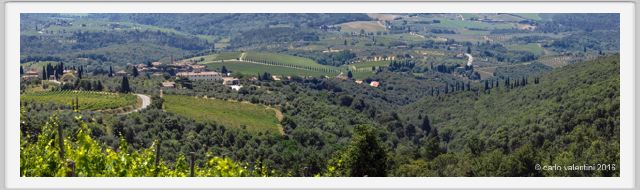 tenuta_di_arceno1785