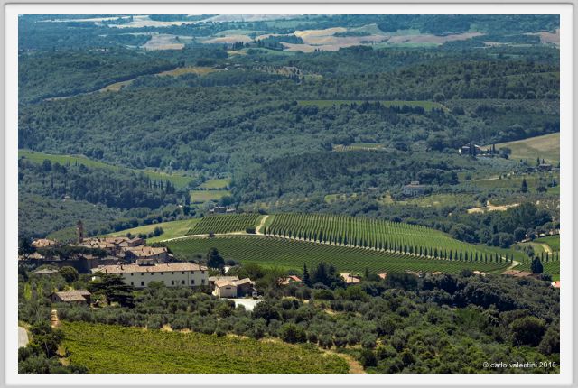 tenuta_di_arceno1786