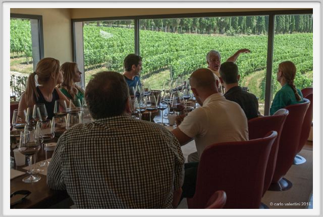 tenuta_di_arceno1942