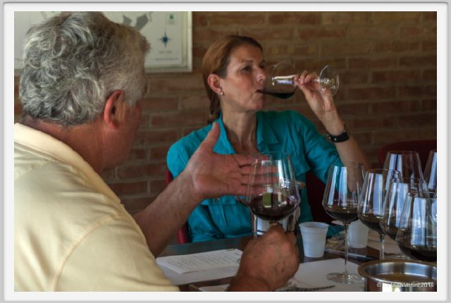 tenuta_di_arceno1946