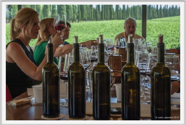 tenuta_di_arceno1947