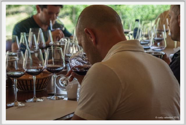 tenuta_di_arceno1951