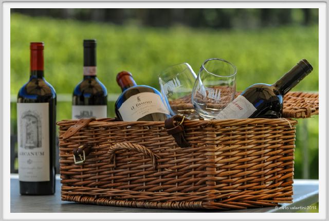 tenuta_di_arceno1955