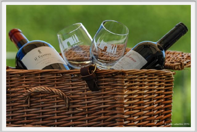 tenuta_di_arceno1957