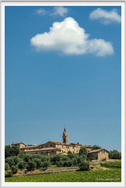 tenuta_di_arceno1738