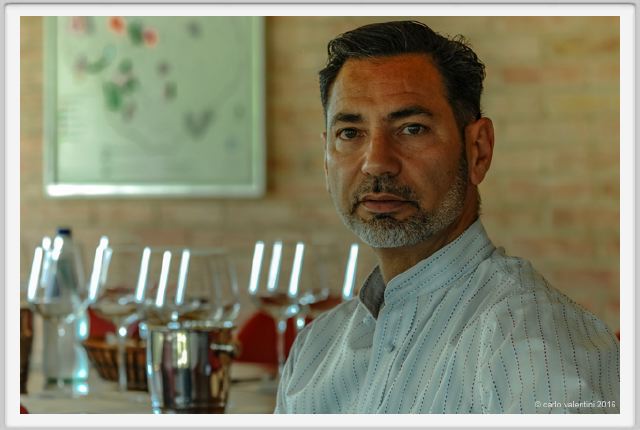 tenuta_di_arceno1988