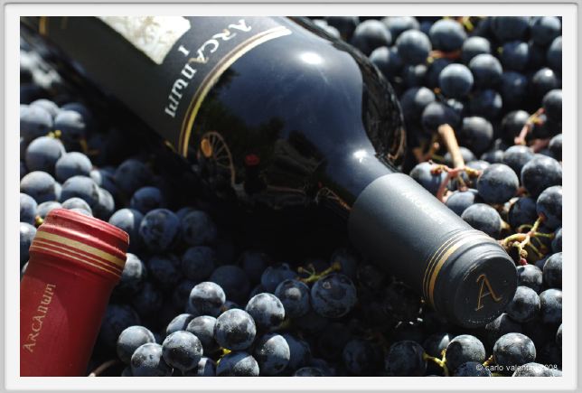 tenuta_di_arceno1120