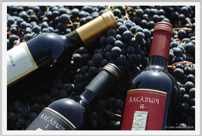 tenuta_di_arceno1122