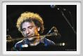 stefano_bollani027