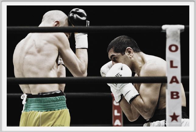 boxe824