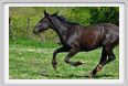 butteri021