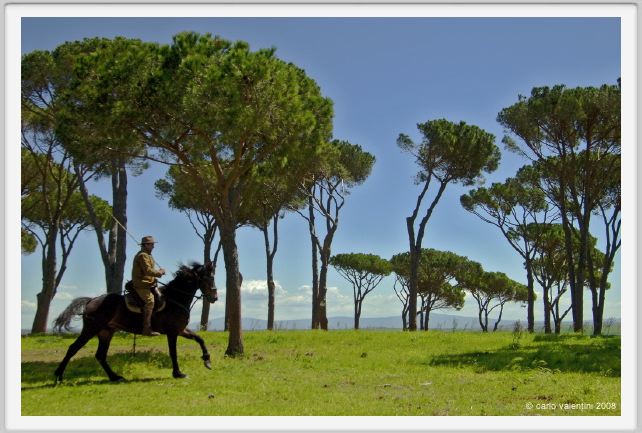 butteri430