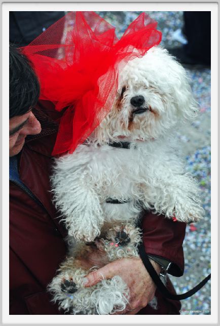 viareggio_carnevale270