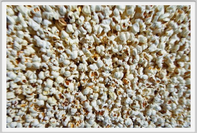 viareggio_carnevale770