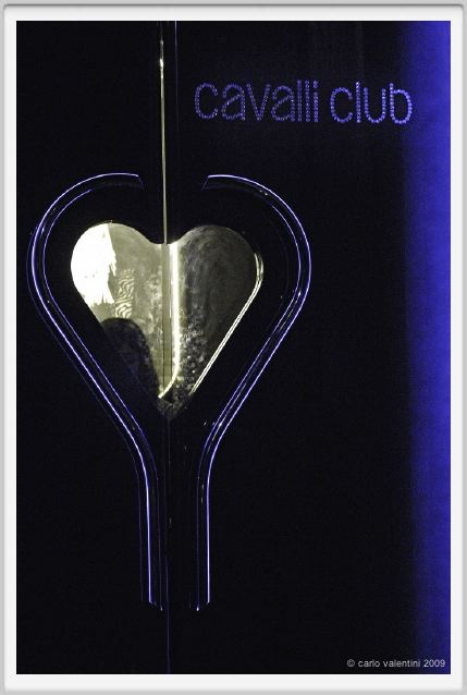 cavalli_club096