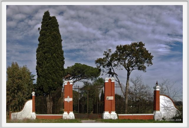 cmv_grosseto001