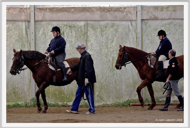 cmv_grosseto126