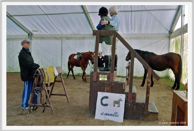 cmv_grosseto140