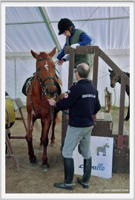cmv_grosseto141
