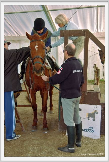 cmv_grosseto142