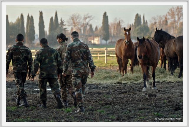 cmv_grosseto173