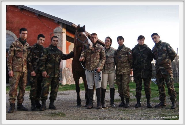 cmv_grosseto178