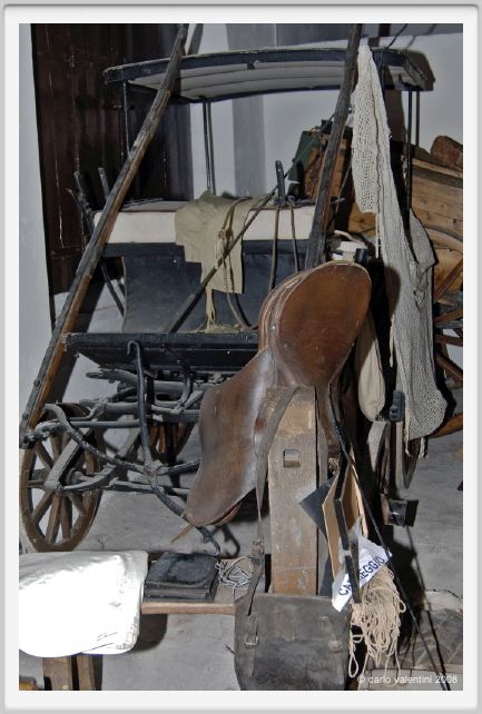 cmv_grosseto191