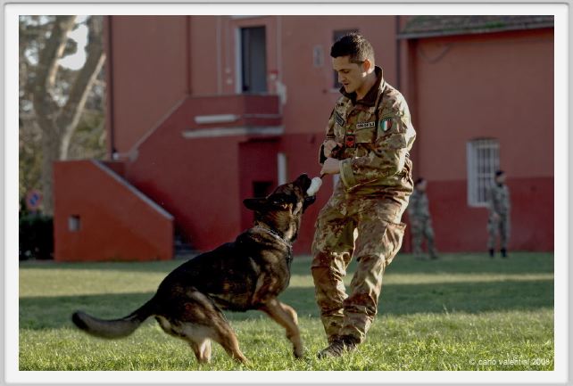 cmv_grosseto204