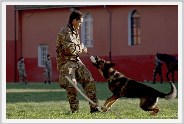 cmv_grosseto205