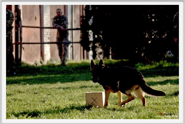 cmv_grosseto212
